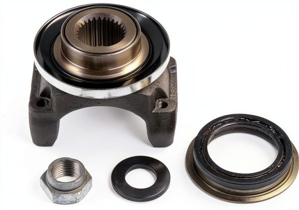 Differential End Yoke Dorman Cast Iron Universal-2