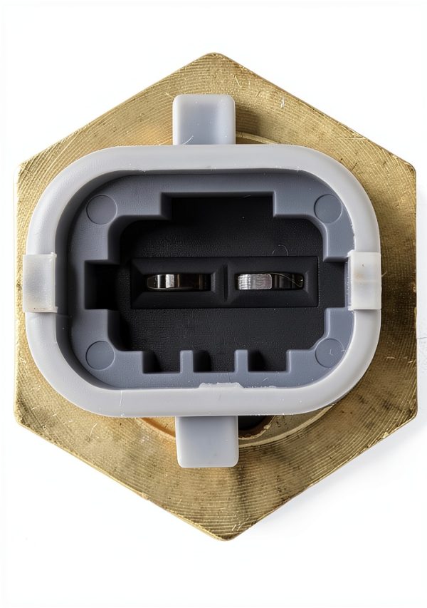 Engine Intake Manifold Temperature Sensor Delphi HTS128 Digital Metal-7