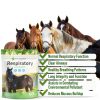 Silver Lining Herbs Respiratory Support for Horses - Lung Cleanse 1lb-1