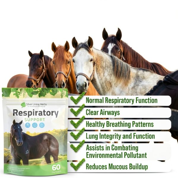 Silver Lining Herbs Respiratory Support for Horses - Lung Cleanse 1lb-1