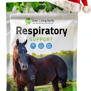 Silver Lining Herbs Respiratory Support for Horses - Lung Cleanse 1lb-0