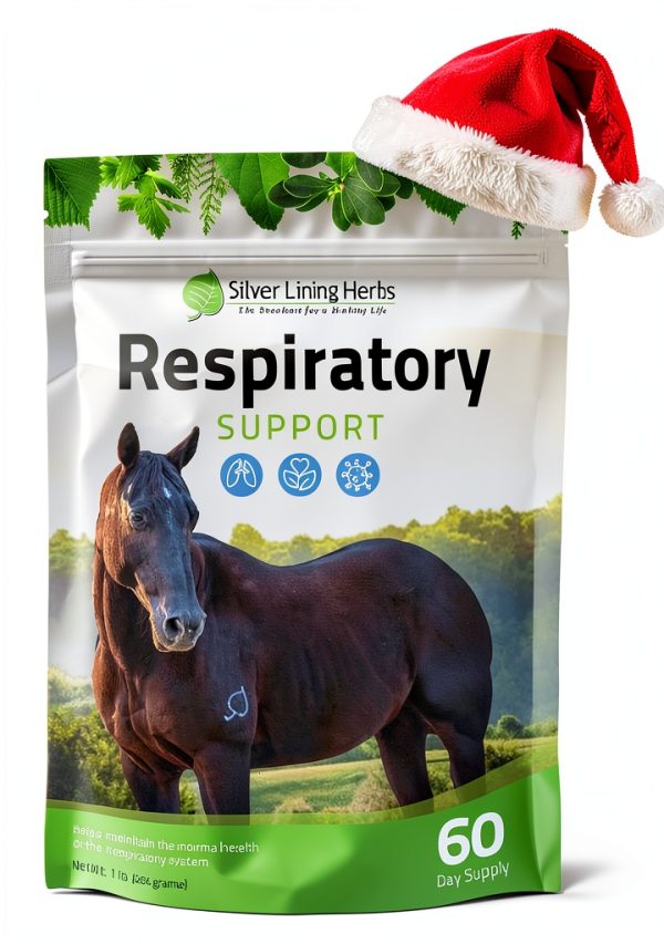 Silver Lining Herbs Respiratory Support for Horses - Lung Cleanse 1lb-0