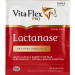 Vita Flex Pro Lactanase Supplement Central Garden Horse Energy Support-0