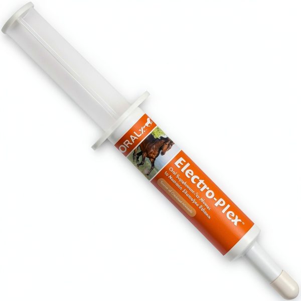 Electrolyte Paste for Horses by DAONEG 1.2 Oz Easy‑Dose Electro‑Plex-0