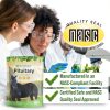 Silver Lining Herbs Respiratory Support for Horses - Lung Cleanse 1lb-6